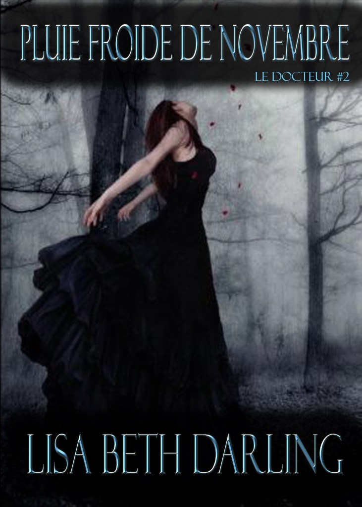 cold november rain french edition