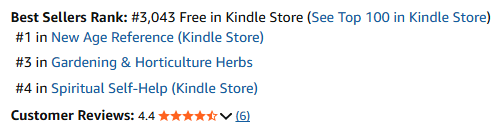 Screenshot of a Kindle Store best sellers ranking showing the rank, categories, and customer review rating.